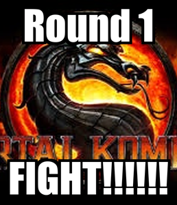 round-1-fight.png