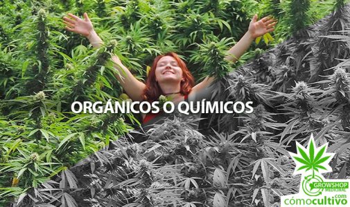 insta-fertilizantes-organicos-quimicos-1.jpg