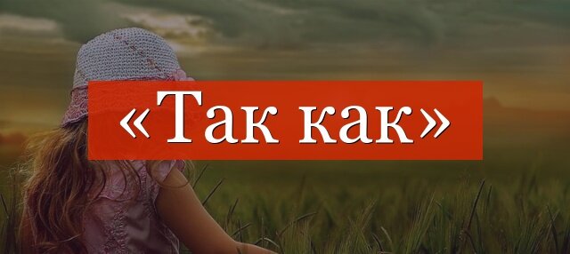 tak-kak.jpg