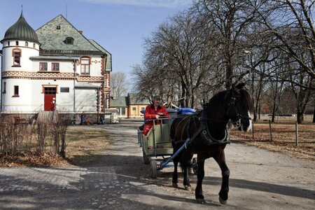 horse-carriage.jpg