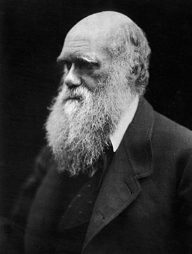 Charles_Darwin_photograph_by_Julia_Margaret_Cameron,_1868.jpg