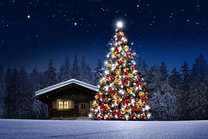 Houses_Forests_Night_Christmas_tree_Snow_558737_600x399.jpg